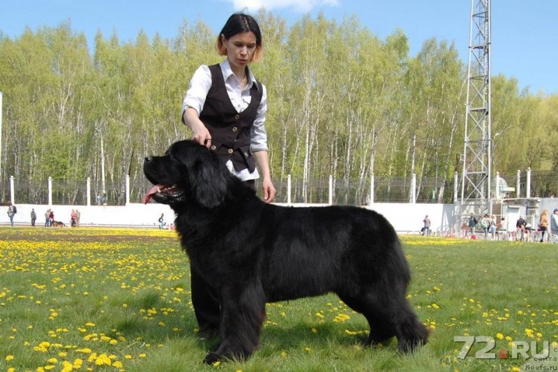 12 я городская поликлиника минска