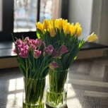 Продажа тюльпанов к 8 марта, Тюмень